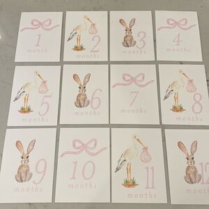 Baby Girl First Year Milestone Photo Cards
